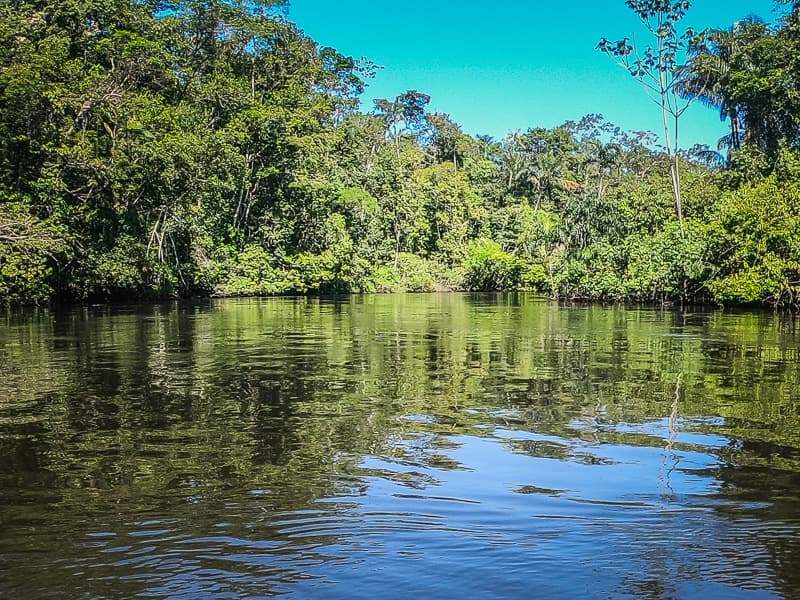 A quick stop in the river to look for pink dolphins
