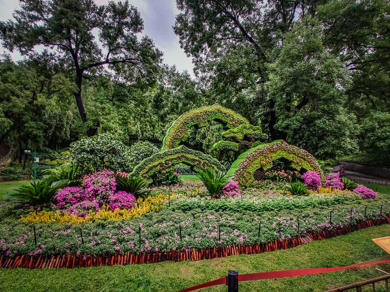 Flower arrangement at the gardens