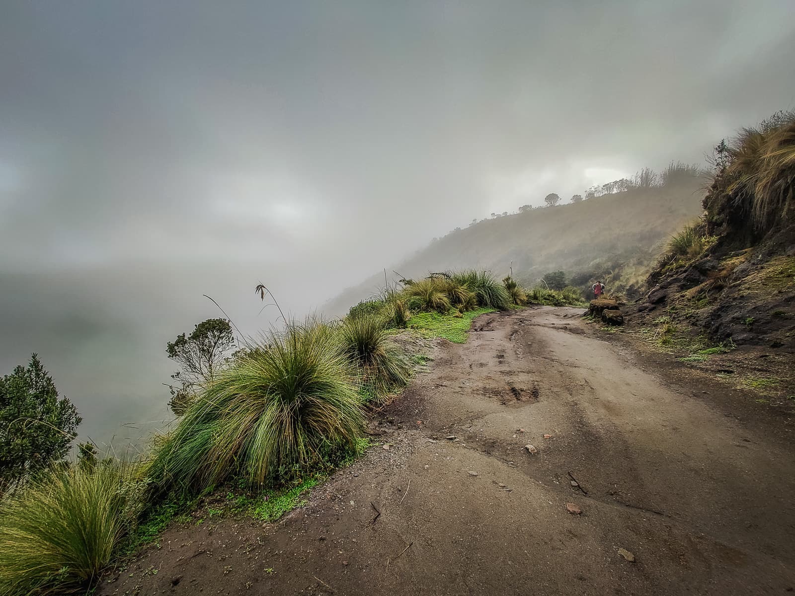 The road up to the start of the trail