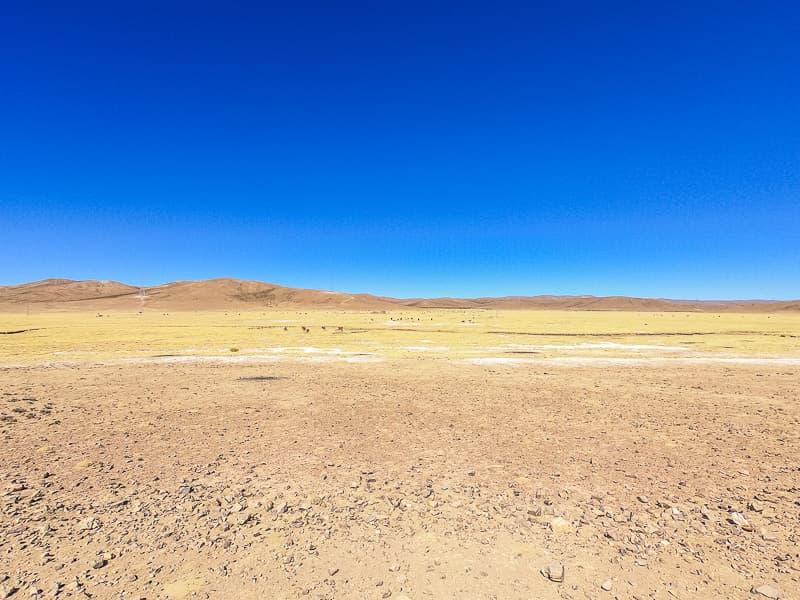 Landscape view of the plains